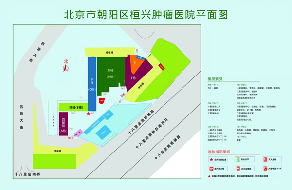 男人干女人视频网址北京市朝阳区桓兴肿瘤医院平面图